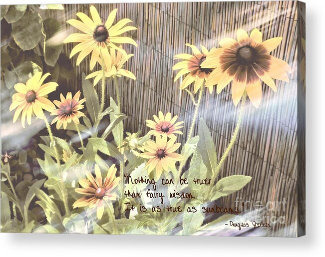 Sunbeam Acrylic Print featuring the photograph Fairy Wisdom by Peggy Hughes