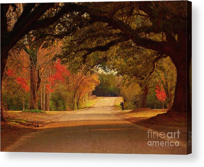 Fall Acrylic Print featuring the photograph Fall Along A Country Road by Kathy Baccari