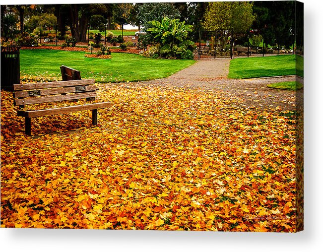 Fall Acrylic Print featuring the photograph Fallen Leaves by Cassius Johnson