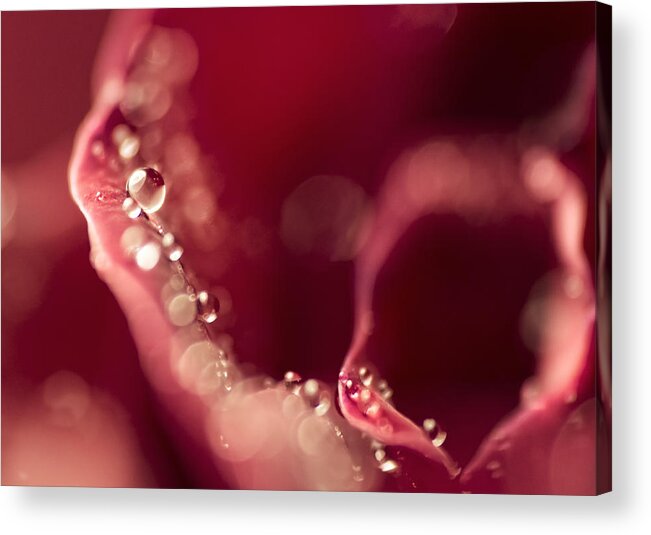 Bokeh Acrylic Print featuring the photograph Falling Into The Abyss by Sandra Parlow
