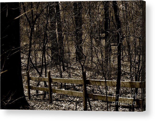 Blackandwhite Acrylic Print featuring the photograph Fence In The Woods by Frank J Casella