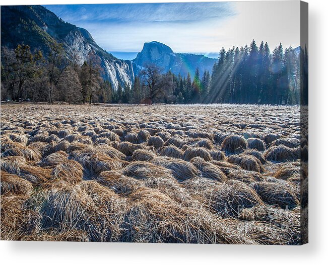Landscape Acrylic Print featuring the photograph Field view by Charles Garcia