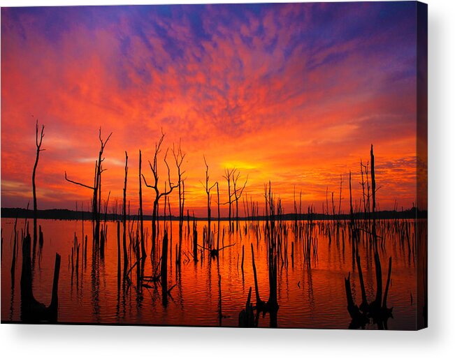 Sunrise Acrylic Print featuring the photograph Fired up Morn by Roger Becker