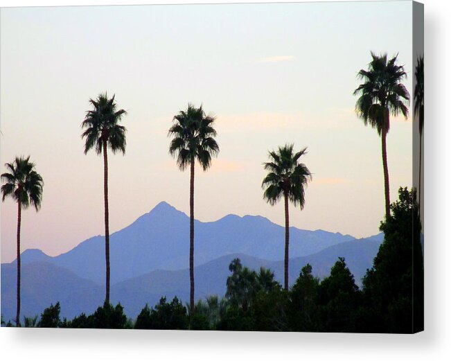 Palms Acrylic Print featuring the photograph Five Palms by Randall Weidner