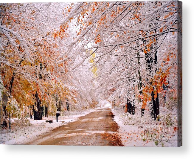 Snow Acrylic Print featuring the photograph Snow in Autumn 3 by Terri Gostola
