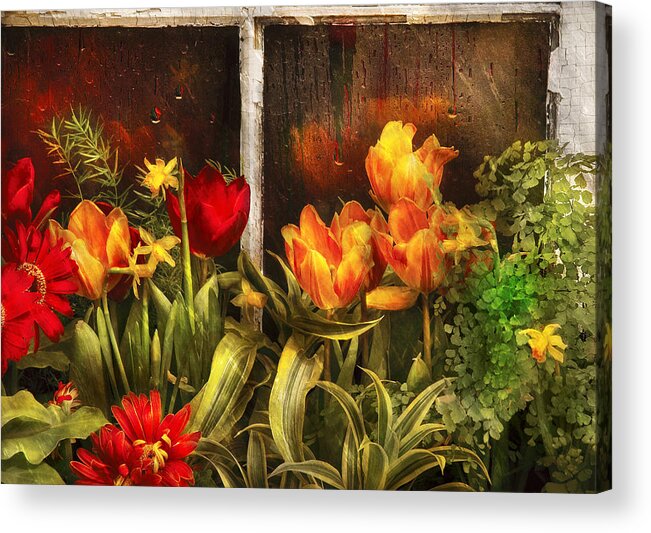 Savad Acrylic Print featuring the photograph Flower - Tulip - Tulips in a window by Mike Savad