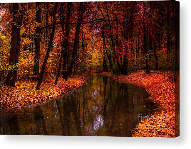 Autumn Acrylic Print featuring the photograph Flowing Through The Colors Of Fall by Hannes Cmarits