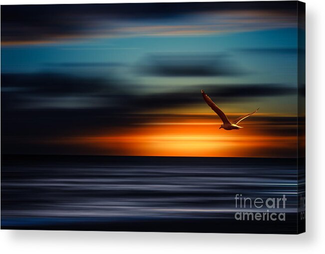 Sylt Acrylic Print featuring the photograph Flying Into The Sunset by Hannes Cmarits