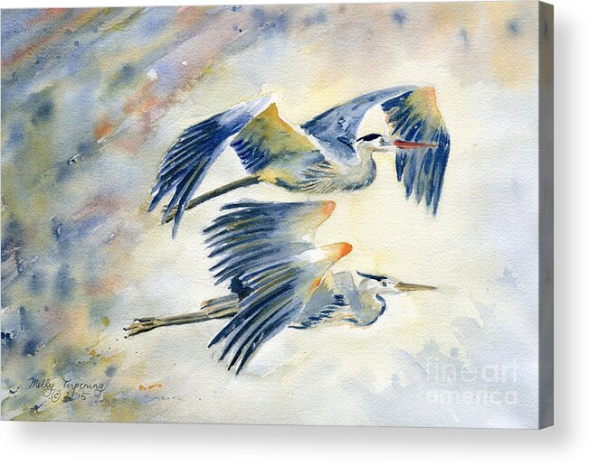 Great Blue Heron Acrylic Print featuring the painting Flying Together by Melly Terpening