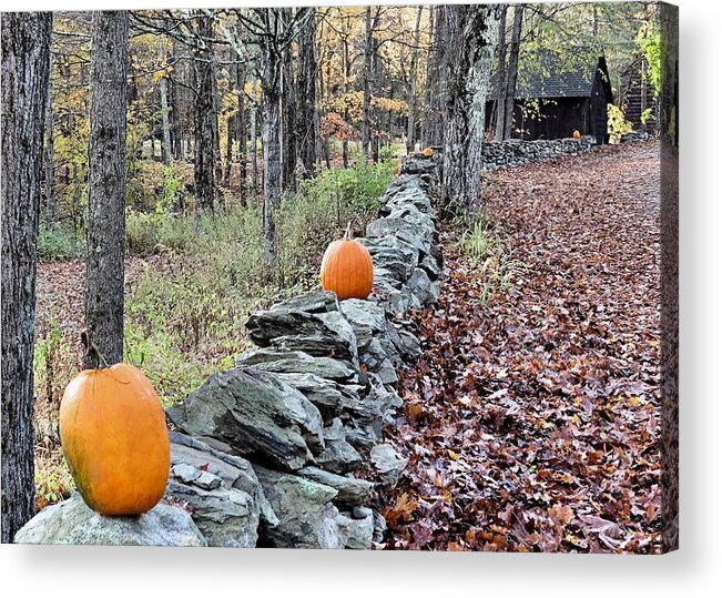 Pumpkins Acrylic Print featuring the photograph Follow the Pumpkin Trail by Janice Drew