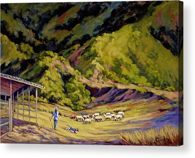 Little Tujunga Canyon Acrylic Print featuring the painting Foothill Sheepherder by Jane Thorpe