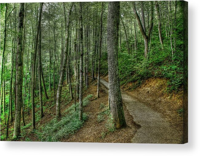 Great Smoky Mountains National Park Acrylic Print featuring the photograph Forest Path by Crystal Wightman