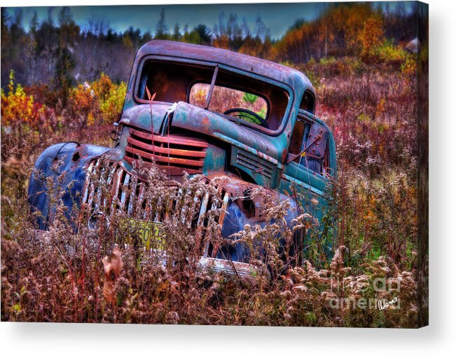 Forgotten Acrylic Print featuring the photograph Forgotten by Alana Ranney