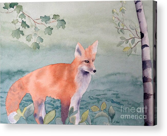 Fox Acrylic Print featuring the painting Fox and Birch by Laurel Best