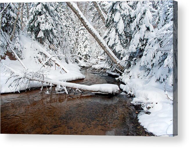 Winter Acrylic Print featuring the photograph Fresh Snow by Gary McCormick
