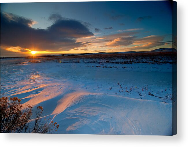 Colorado Acrylic Print featuring the photograph Ft Collins Snow Sparkles by Preston Broadfoot