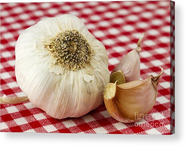 Garlic Acrylic Print featuring the photograph Garlic by Blink Images