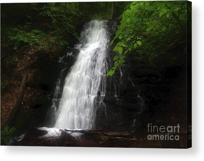 Waterfall Acrylic Print featuring the photograph Garvey Spring Falls by Debra Fedchin