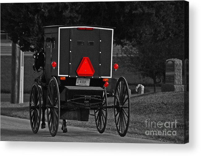 Buggy Acrylic Print featuring the photograph Going Home SC by Mary Carol Story