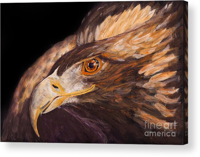 Eagle Acrylic Print featuring the painting Golden eagle close up painting by Carolyn Bennett by Simon Bratt