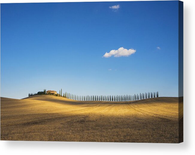 Dawn Acrylic Print featuring the photograph Golden field and alley of cypress in Tuscany, Italy by Ozgurdonmaz
