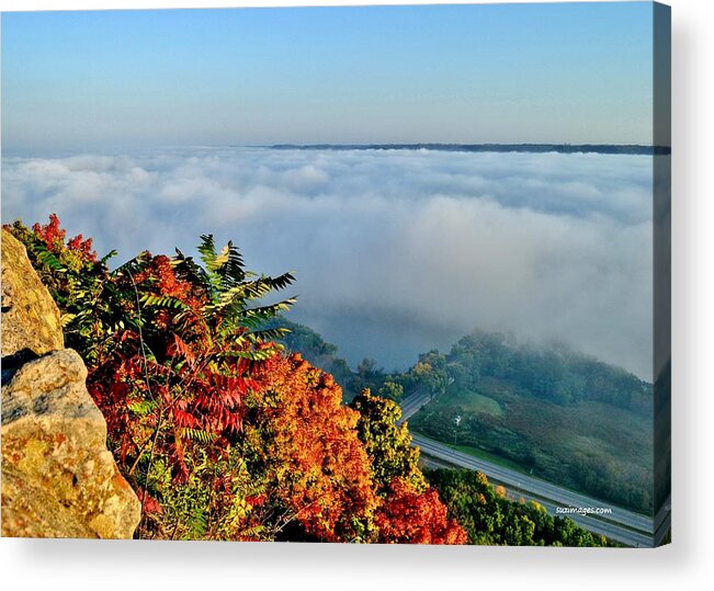 Great River Road Acrylic Print featuring the photograph Great River Road Fog by Susie Loechler