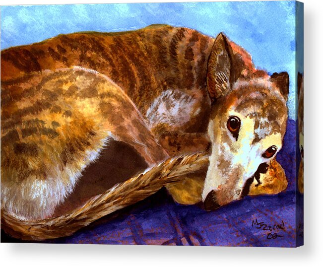 Greyhound Acrylic Print featuring the painting Greyhound Print by Mary Jo Zorad