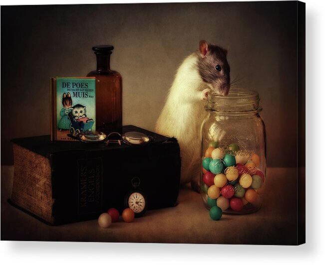 Rat Acrylic Print featuring the photograph Gumballs (published In The New 1x Book memento.) by Ellen Van Deelen