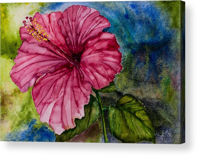 Flower Acrylic Print featuring the painting Hibiscus study by Lee Stockwell