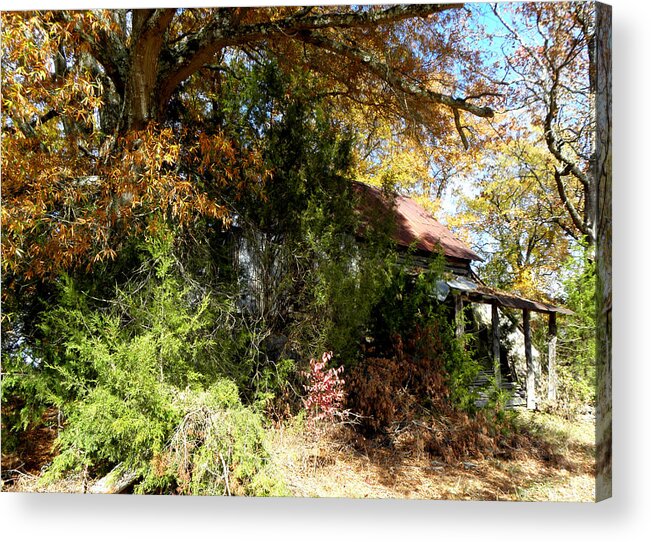 Abandoned Home Acrylic Print featuring the photograph Hidden and Forgotten by Kim Galluzzo