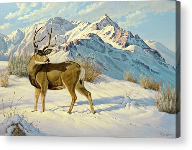 Wildlife Acrylic Print featuring the painting High Country Buck by Paul Krapf