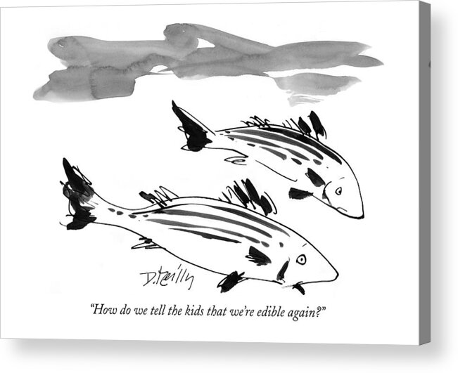 Fish - Misc. Acrylic Print featuring the drawing How Do We Tell The Kids That We're Edible Again? by Donald Reilly