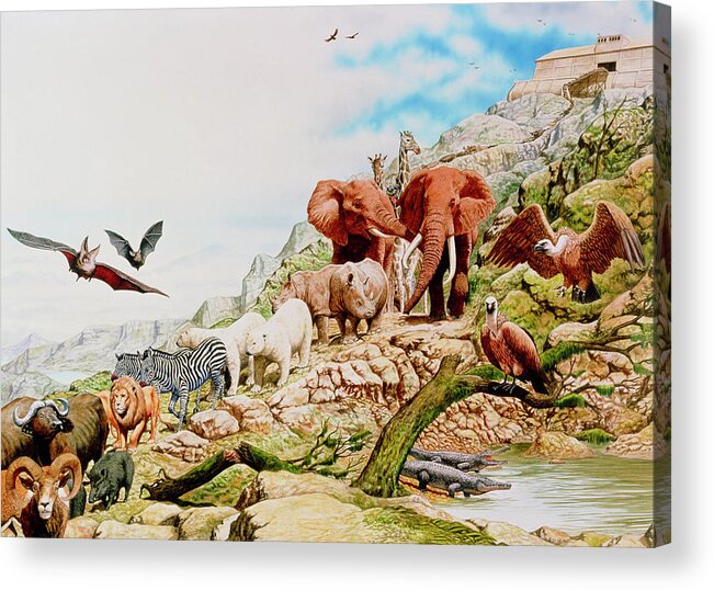 Illustration Of Noah's Ark Acrylic Print by A. Gragera, Latin Stock/science  Photo Library - Fine Art America