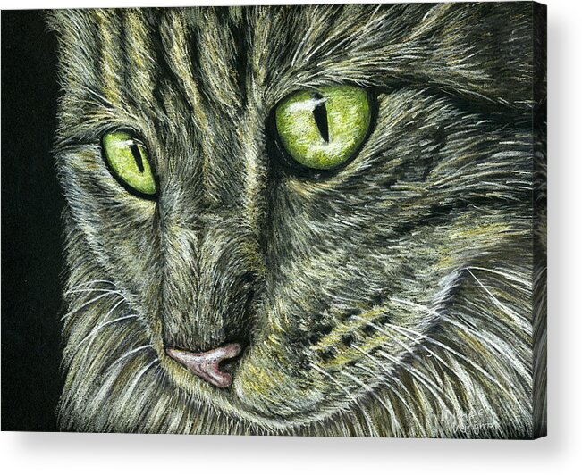 Cat Acrylic Print featuring the painting Intense by Michelle Wrighton