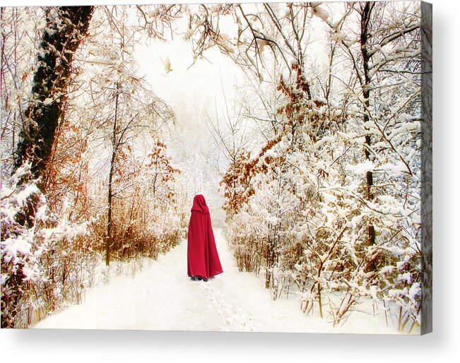 Winter Acrylic Print featuring the photograph Into the Woods by Jessica Jenney