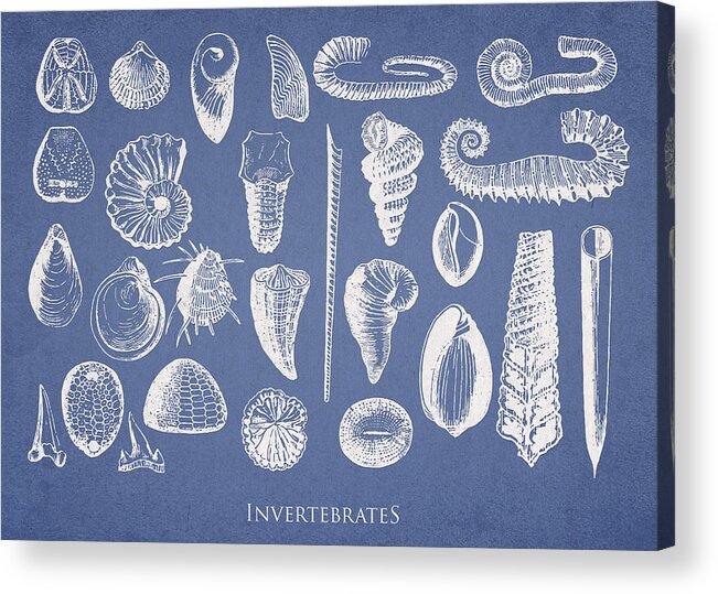 Invertebrates Acrylic Print featuring the digital art Invertebrates by Aged Pixel
