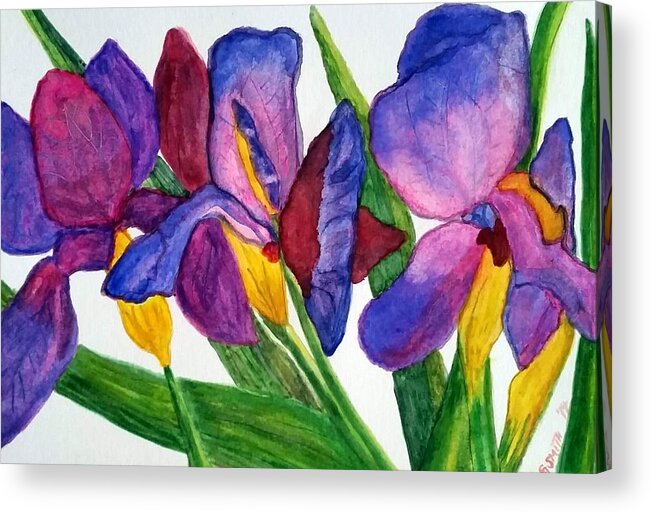 Impressionism Acrylic Print featuring the painting Irises by Gerry Smith