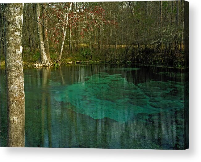 Landscape Acrylic Print featuring the photograph July Spring II. by Chris Kusik