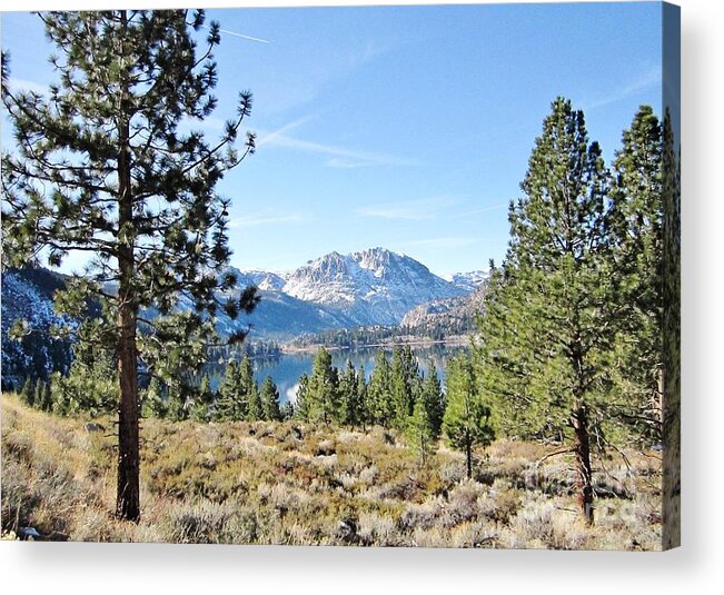 June Acrylic Print featuring the photograph June Lake by Marilyn Diaz