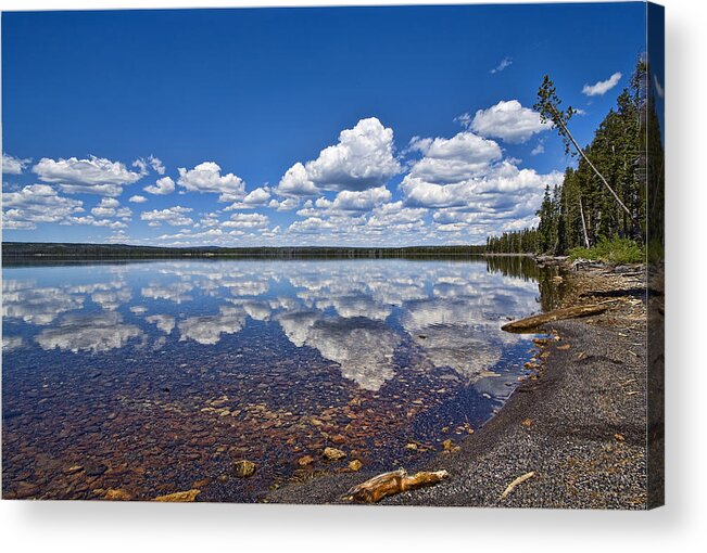 Landscape Acrylic Print featuring the photograph Lake Lewis Reflections by Mark Harrington