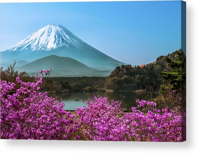 Scenics Acrylic Print featuring the photograph Lake Shojiko - Springtime by Natasha Pnini
