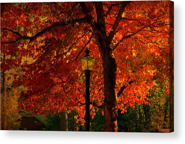 Autumn Acrylic Print featuring the photograph Lantern in autumn by Susanne Van Hulst
