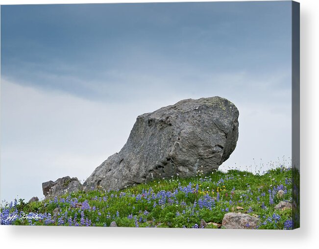Alpine Acrylic Print featuring the photograph Large Boulder Deposited by a Glacier in an Alpine Meadow by Jeff Goulden