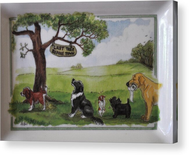 Animals Acrylic Print featuring the photograph Last Tree Dogs Waiting In Line by Jay Milo