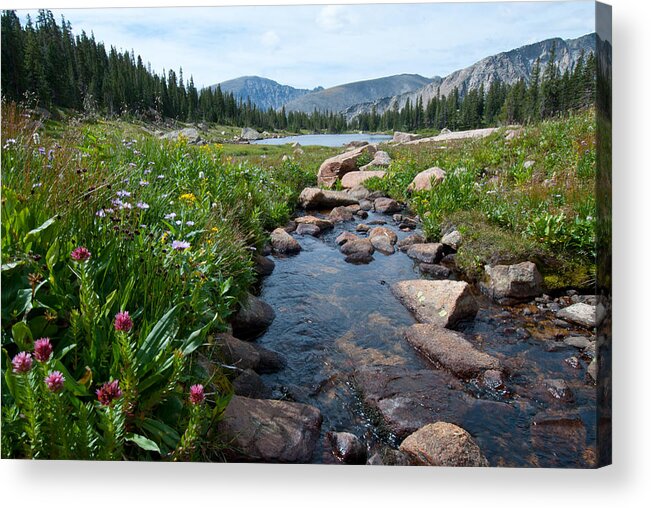 Summer Acrylic Print featuring the photograph Late Summer Mountain Landscape by Cascade Colors