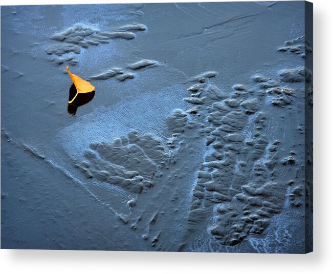 Leaf Acrylic Print featuring the photograph leaf on ice Amsterdam by Jerry Daniel