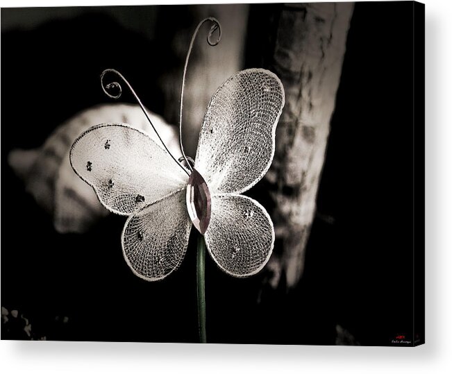 Butterfly Acrylic Print featuring the photograph Looking around-112 by Emilio Arostegui