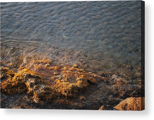 Low Tide Acrylic Print featuring the photograph Low Tide by George Katechis