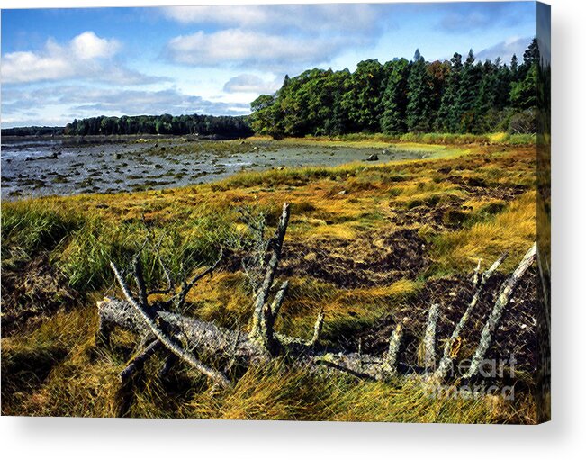 Deer Isle Acrylic Print featuring the photograph Low Tide Reach Road by Thomas R Fletcher
