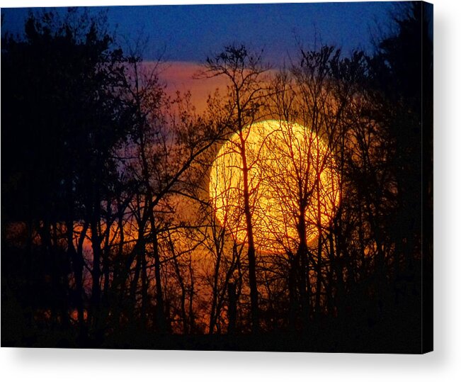 Moon Acrylic Print featuring the photograph Luminescence by Bill Pevlor